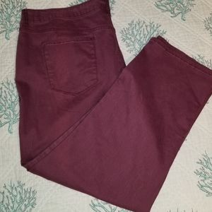 NWT Bandolino Mandie Maroon Jeans Plus